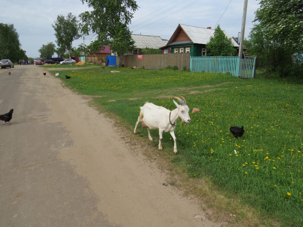 село Дивеево